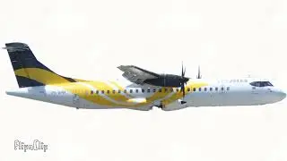 Voepass Flight 2283 - Crash Animation 
