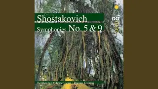 Symphony No. 5 in D Minor, Op. 47: II. Allegretto