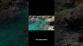 Geography Unknown 5 - Ca&ntilde;o Cristales, Colombia 🇨🇴 #colombia #ca&ntilde;ocristales #river #earth
