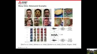 (ISIT 2021) Robust Machine Learning via Privacy/Rate Distortion Theory