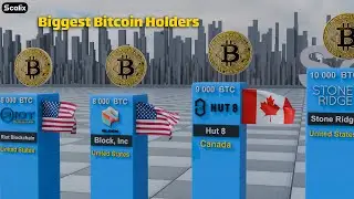 Biggest Bitcoin Holders in 2025 Revealed | Top Crypto Whales