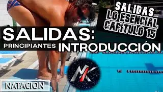 🏊 POSICIONES INICIAL, FINAL, ÁNGULOS, SONIDOS 📣 Capítulo 15: SALIDAS 🐬 [Lo Esencial]