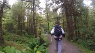 TONGASS NATIONAL RAINFOREST HIKE | KETCHIKAN | ALASKA | USA