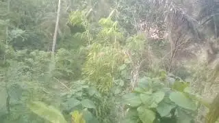 Cek lokasi