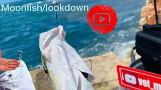 Micro Fishing / Florida / outdoors / light tackle / jetty fishing / inshore fishing / SUBSCRIBE