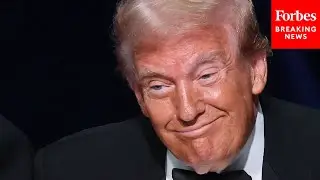 'There's A Group Called White Dudes For Harris...': Trump Mocks Pro-Harris Group At Al Smith Dinner