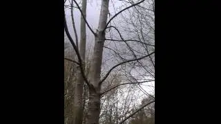 Police helicopter harassment part 3