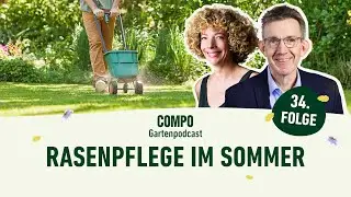 Rasenpflege im Sommer | Podcast Dein Fleckchen Grün