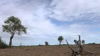 drought time lapse