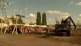 Виробництво фанери I Зроблено в Україні