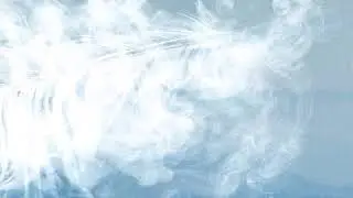 새소년 (SE SO NEON) [여름깃] Track 06. 새소년 (New Youth) AUDIO