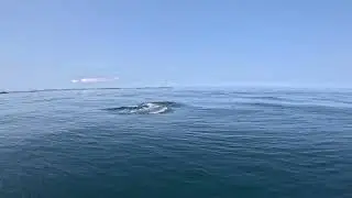 Compagnons de p&ecirc;che en Mer d'Iroise GX012416