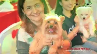 Bow and Wow Love Your Pet Day