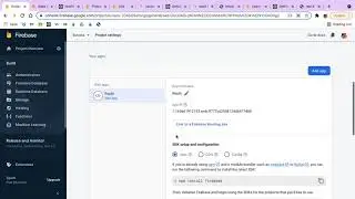 Firebase and Javascript Set Up