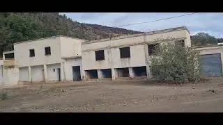 سيشهد سوق إجيرماواس يوم الثلاثاء انتعاشاً قريباً، تابعونا.