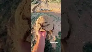 I found something CRAZY at the beach 😳🤯