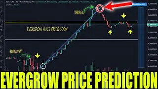 EVERGROW COIN HUGE PRICE TODAY - EGC CRYPTO UPDATE !!