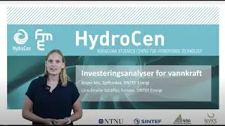 Investeringsanalyser for vannkraft