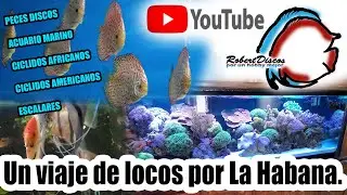 Visitando algunos acuarios en la habana, entre ellos el mejor marino de Cuba.