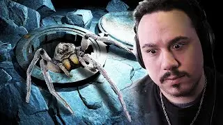 DO NOT WATCH IF YOU'RE AFRAID OF SPIDERS | Control Room Alpha