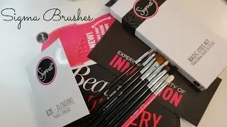 Sigma Brushes | Basic Eyes Kit