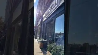 The Story of Pinch. Northampton, Massachusetts. Supporting Artists Since 1979.