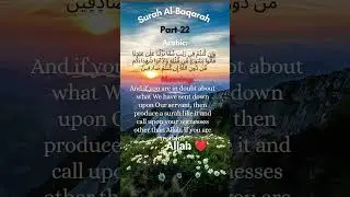 Read Qur'an but read with meaning and understanding. #allah #freepalestine #fyp #trendingshorts