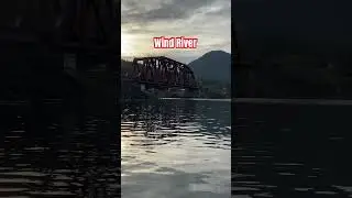 Hot Bite at theWind River Wa fishery for Spring Chinook Salmon