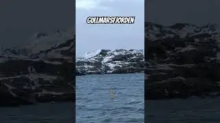 #Gullmarsfjorden #fjords #sweden #allahuakbar #nature #water #lake #swedencoast #sky #allahuakbar