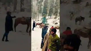 🌄 Doodhpathri Kashmir | Hidden Paradise in the Valley 🌿❄️#travel #mountains
