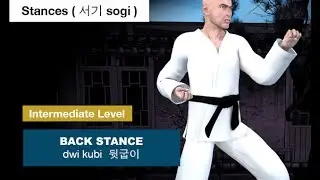 Taekwondo - Back Stance ( 뒷굽이 dwi kubi )