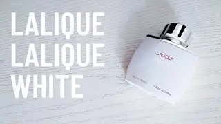 PACHNĄCY TYP - PERFUMY LALIQUE WHITE: fiołek, pieprz oraz czyste pranie