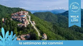 La Via Francisca del Lucomagno: storia e monumenti lungo il cammino