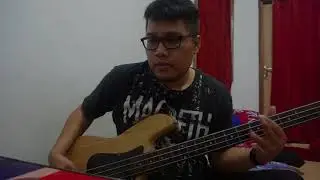 5 SECONDS OF SUMMER | SHE LOOKS PERFECT [BASS COVER]