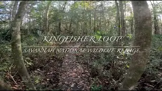 Kingfisher Loop @ Savannah National Wildlife Refuge   4K