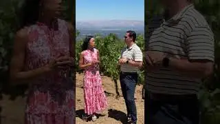 July 2024 Real Estate Market - List vs. Sale Price | Less Competition For Buyers?