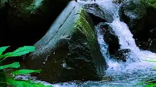 Relaxing Sounds For Sleep Live &ndash; River Night Stream Relaxation
