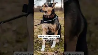 💔 Kaira &ndash; wartet seit 2 Jahren auf ihr Wunder 💔