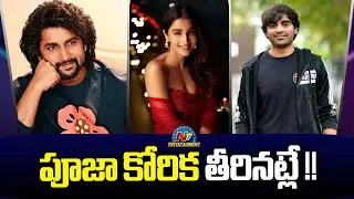 Pooja Hegde & Nani New Movie Update ? | Sujeeth | NTV ENT