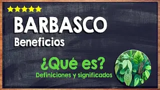 🙏 &iquest;Qu&eacute; es el Barbasco? - Conoce la Funci&oacute;n del Barbasco o Cabeza de Negro 🙏