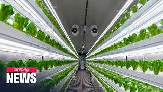 S. Korea&rsquo;s indoor farming technology helps crop production in the Middle East