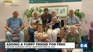 Delmar Gardens covering some adoption fees for Stray Rescue