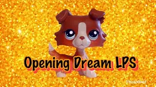 Opening My DREAM LPS!!!!!