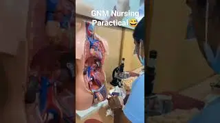||GNM paratical in lab but first time in lab gona wrong 😂|| whatsapp status||#gnm #anm #nursing