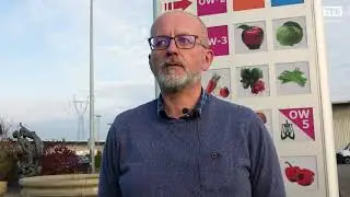 Bronisze: mizerna sprzedaż ziemniak&oacute;w i jabłek. Za to rośnie import warzyw