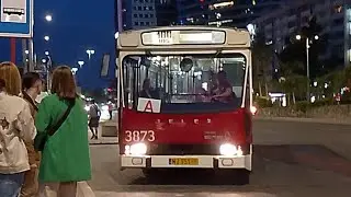 Autobus A Kier. Pl Narutowicza Jelcz PR110  Noc Muze&oacute;w 2024 #3873