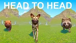 Wild Dog vs Bush Dog vs Raccoon Dog A Head to Head Speed Race in Planet Zoo