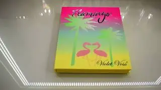 Violet Voss Flamingo Eyeshadow Palette! Live Swatches Using Sonia G Builder One & Worker One!