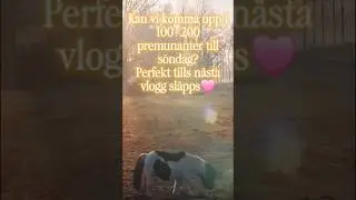 F&ouml;lj med oss i vardagen 🩷 #djur #landet #baka #mat #pyssla #livet #shorts #ponny #horse #life
