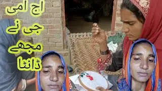 Aaj Ammi Ji ne mujhe danta hathi family vlogs 😔😱😱